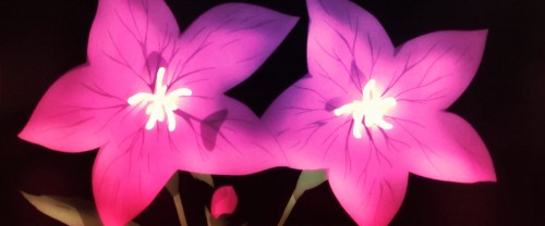 Million Flowers