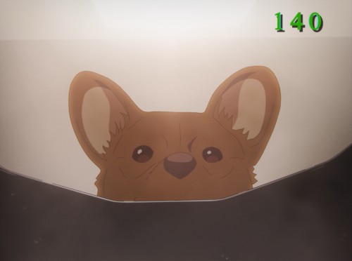 Contemporary Dog
