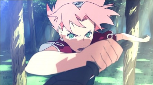 Shinobi Striker