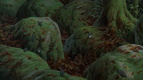 Svarta skogen