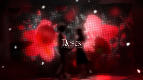 I Wish You Roses