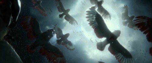 Flying through War