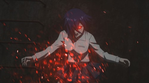 RC: Cells
