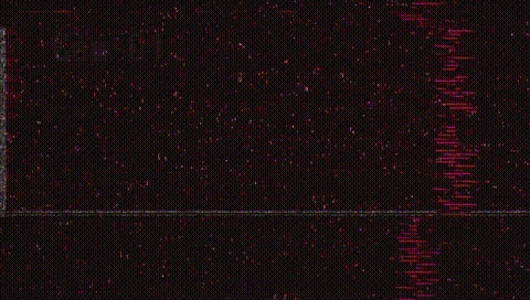 The Noise