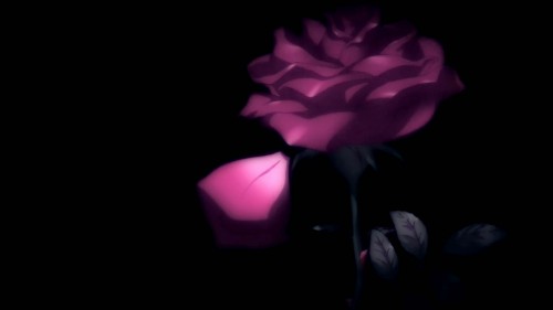 Velvet