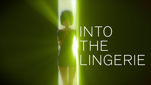 Into The Lingerie
