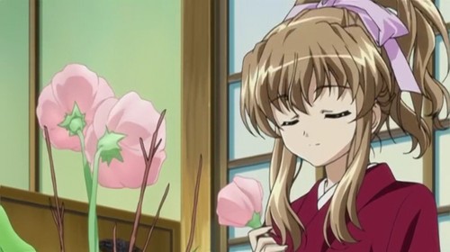 Code: Ecchi