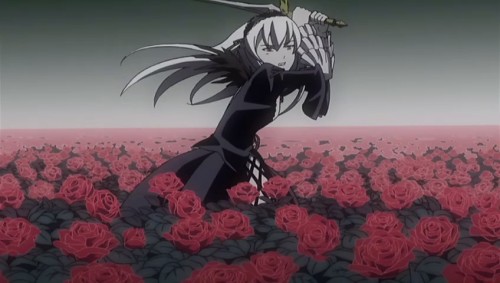 Rozen Malina