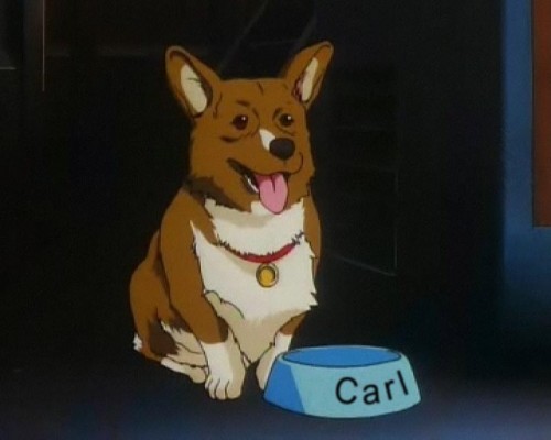 Billy Bebop