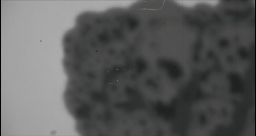Mass halo